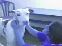 Dog got tasked to fuck a short-haired brunette